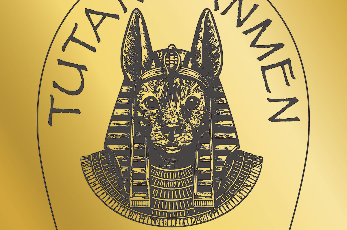 yokohama-tutankhamen-pet- yokohama-tutankhamen-pet-