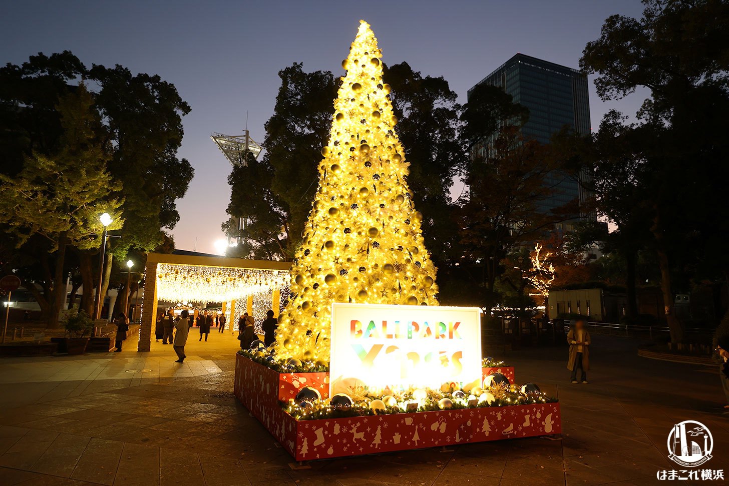 横浜公園の初開催“ボールパーククリスマス”あまりの凄さに大興奮！イルミネーション輝く空間とグルメ堪能
