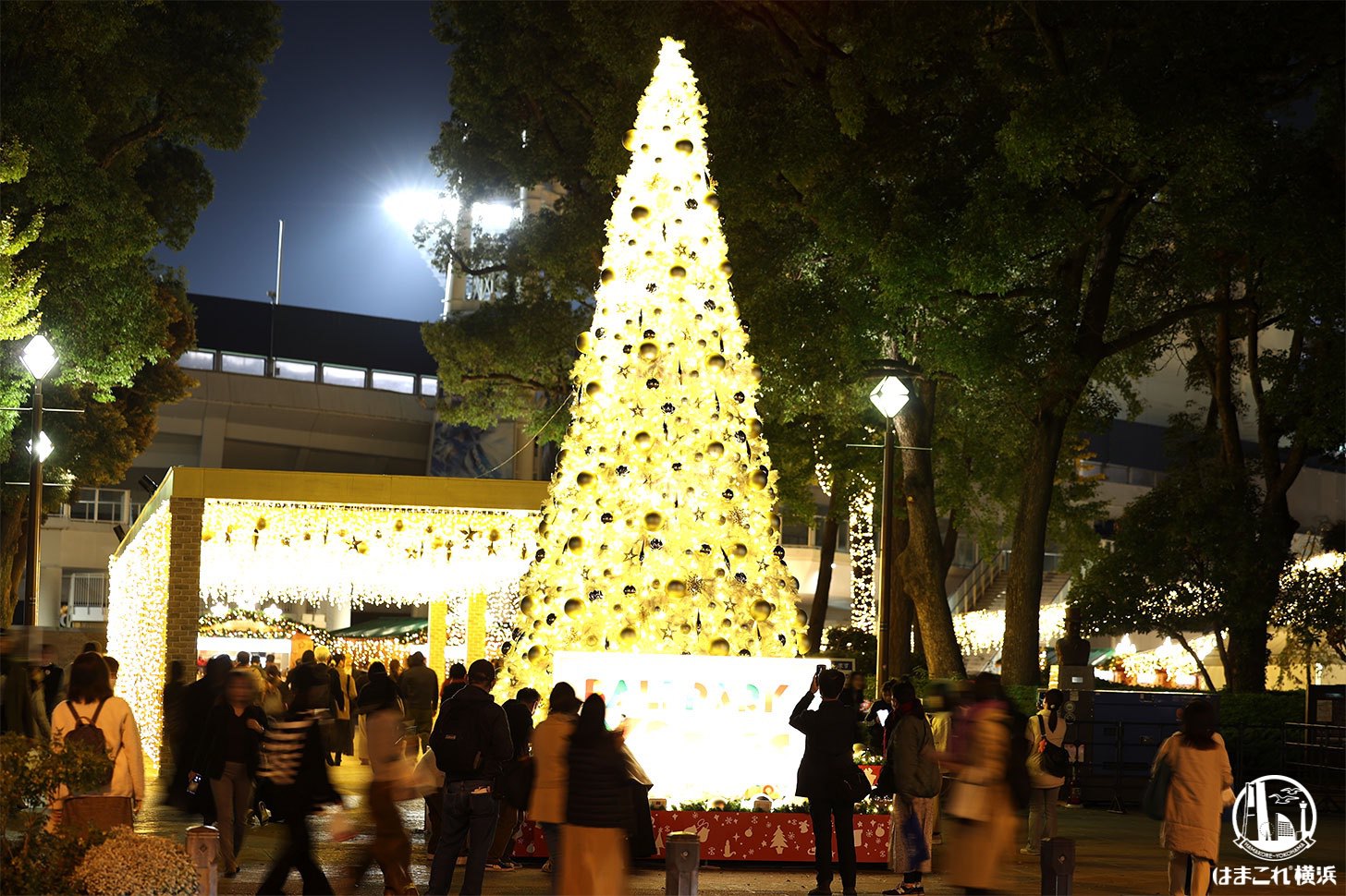 クリスマスツリー