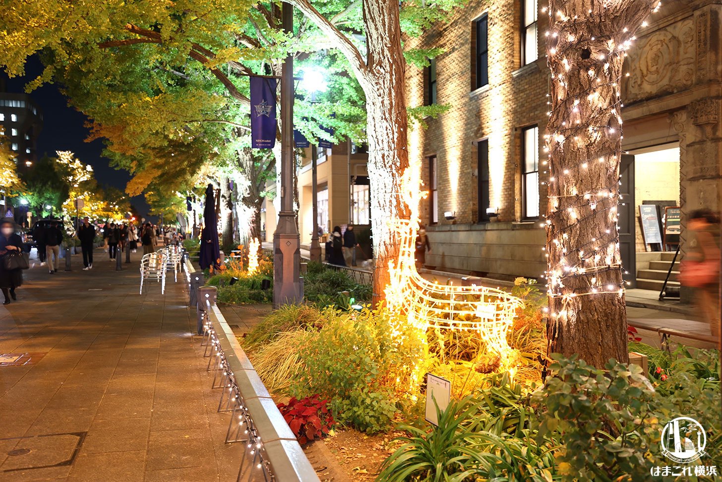 日本大通りのライトアップ