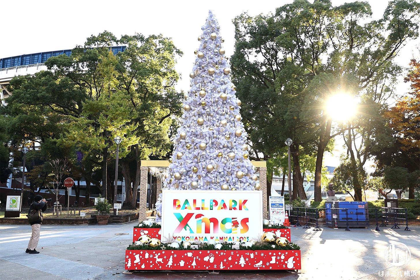 ホワイトツリー