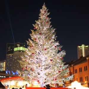 横浜赤レンガ倉庫「クリスマスマーケット」新エリア登場で楽しさ倍増!巨大ツリーやイルミも見応え抜群に