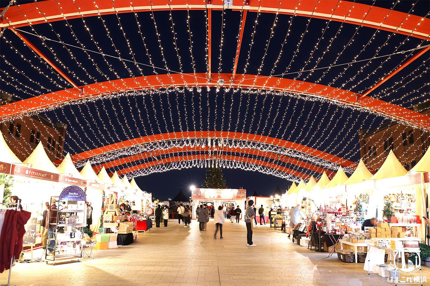 イルミネーションルーフ