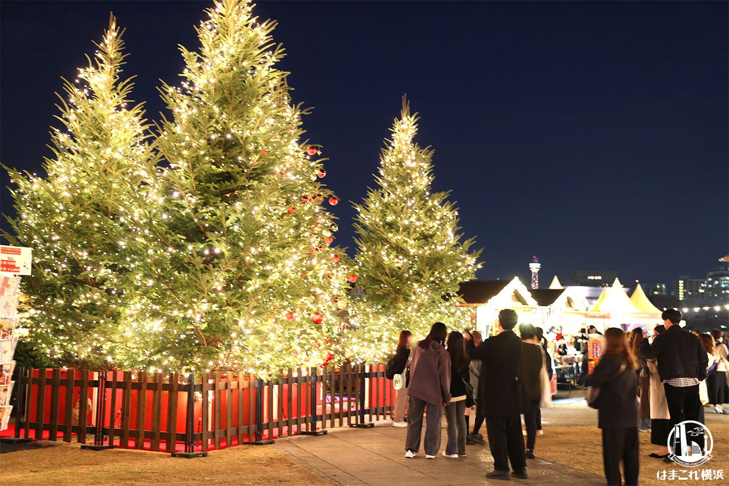 新設のクリスマスツリー