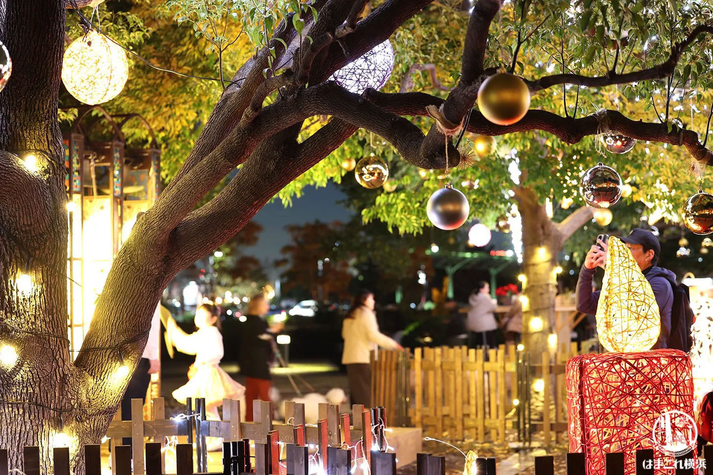 昨年のイルミネーションガーデン