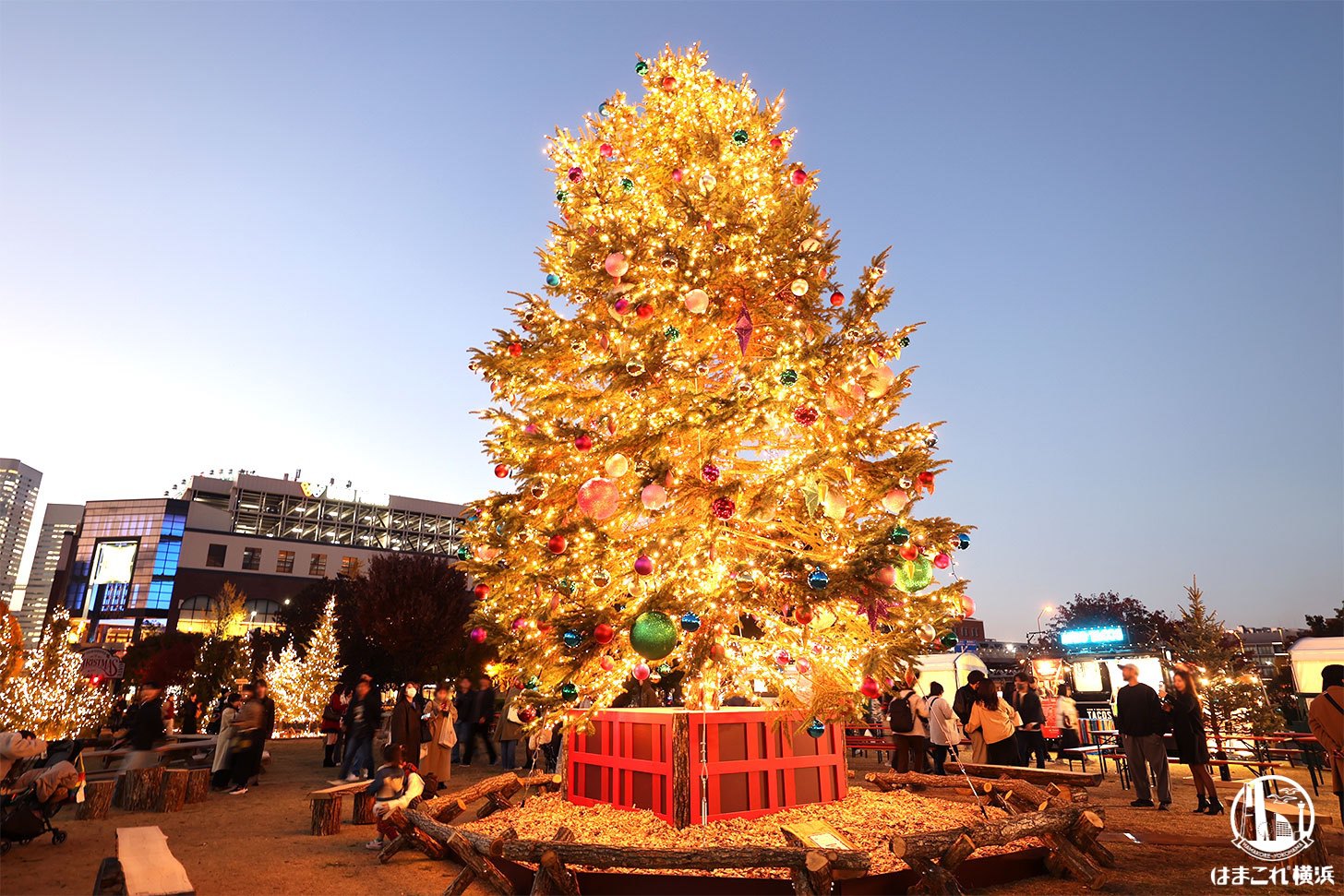 クリスマスゲートのクリスマスツリー