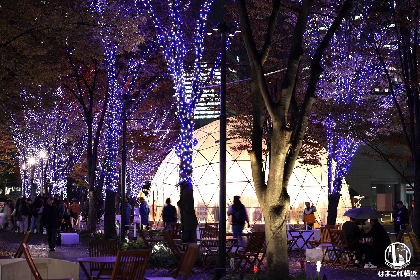 ライトアップしたスノードームとイルミネーション