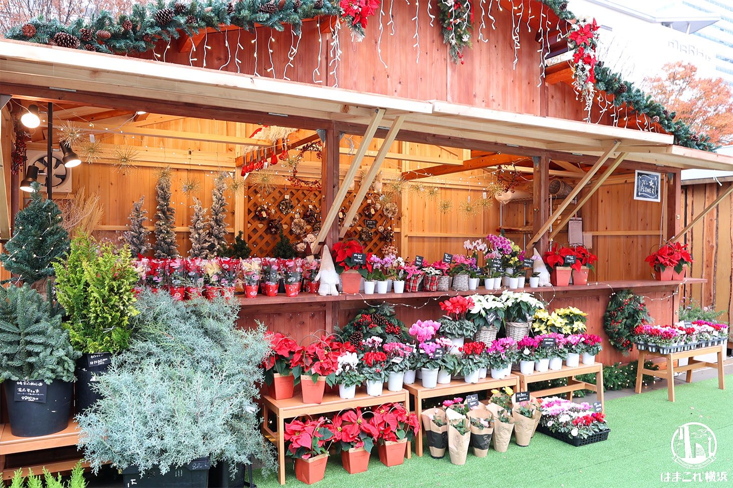 ジェルフラワー