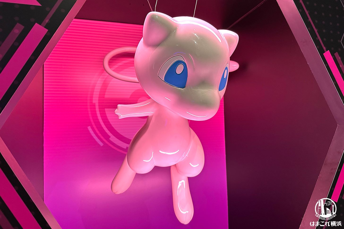 ポケモン天文台 ミュウ