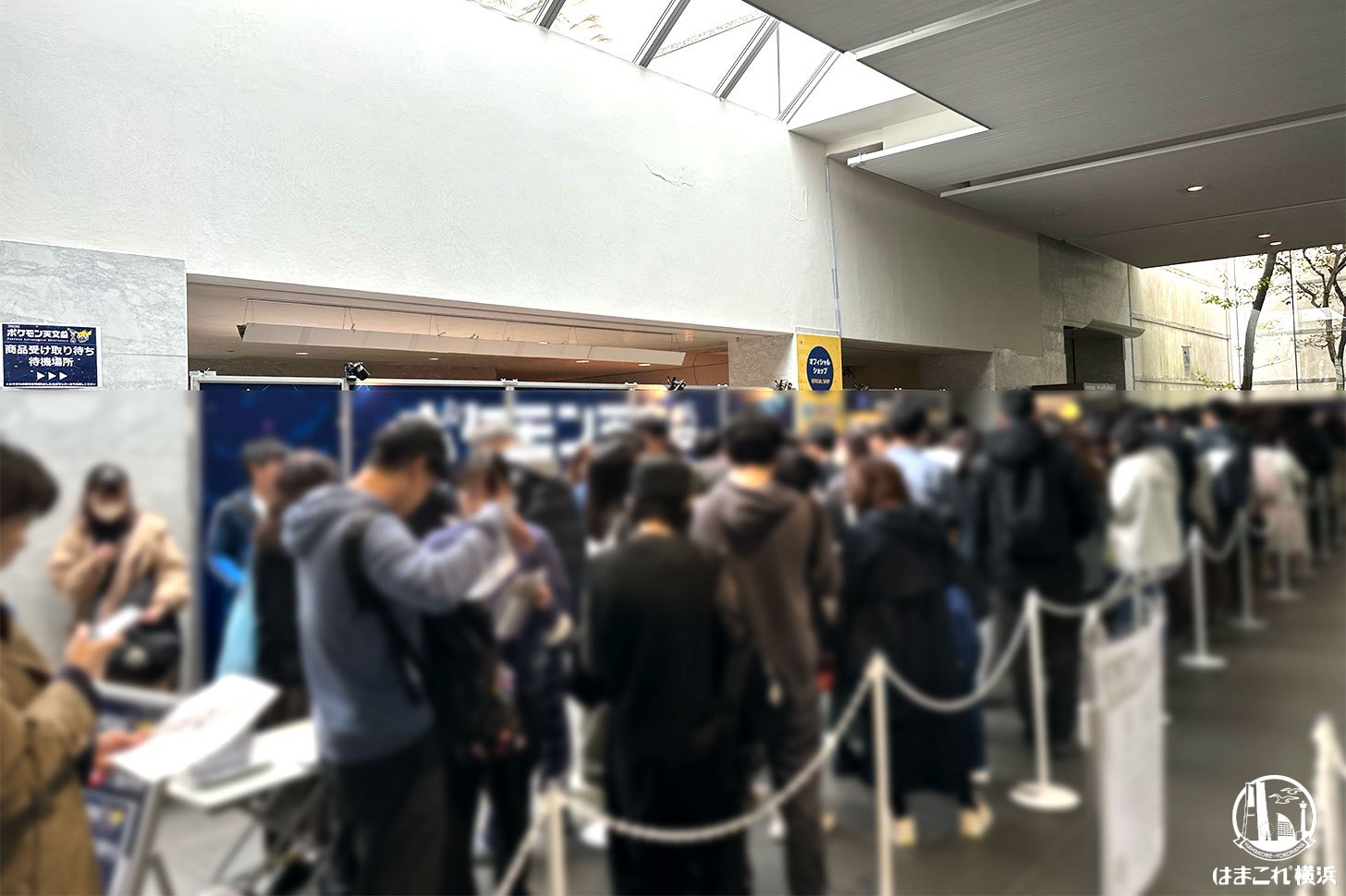 ポケモン天文台 ショップ