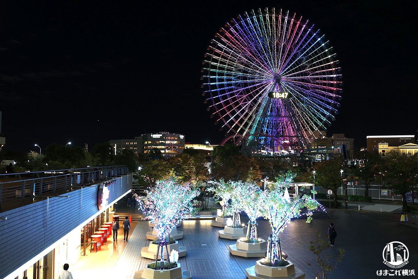 クイーンズパークのイルミネーション