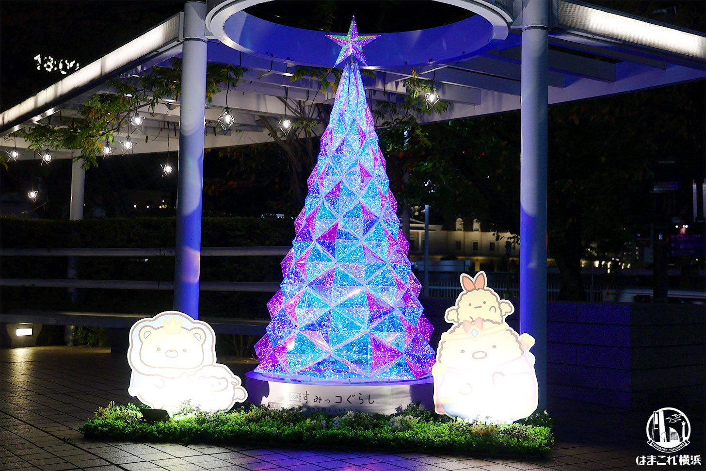 パーゴラのクリスマスツリー