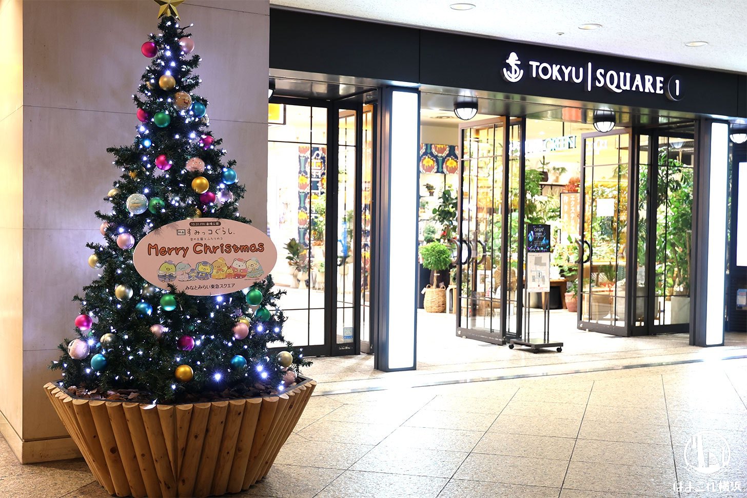 館内のクリスマスツリー