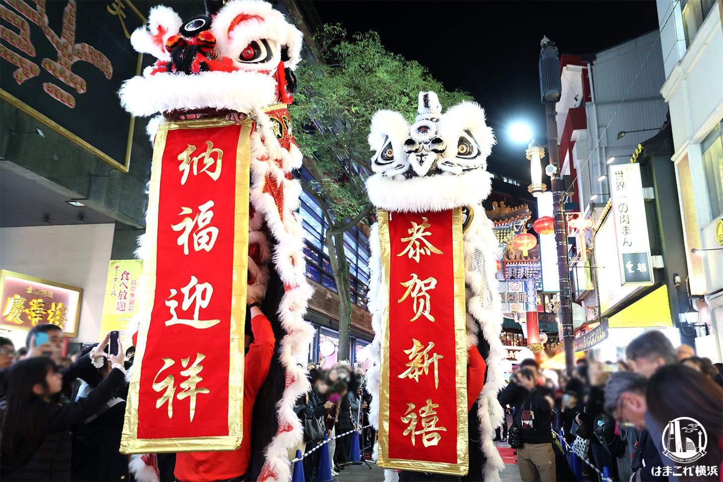 2026春節燈花（イルミネーション）