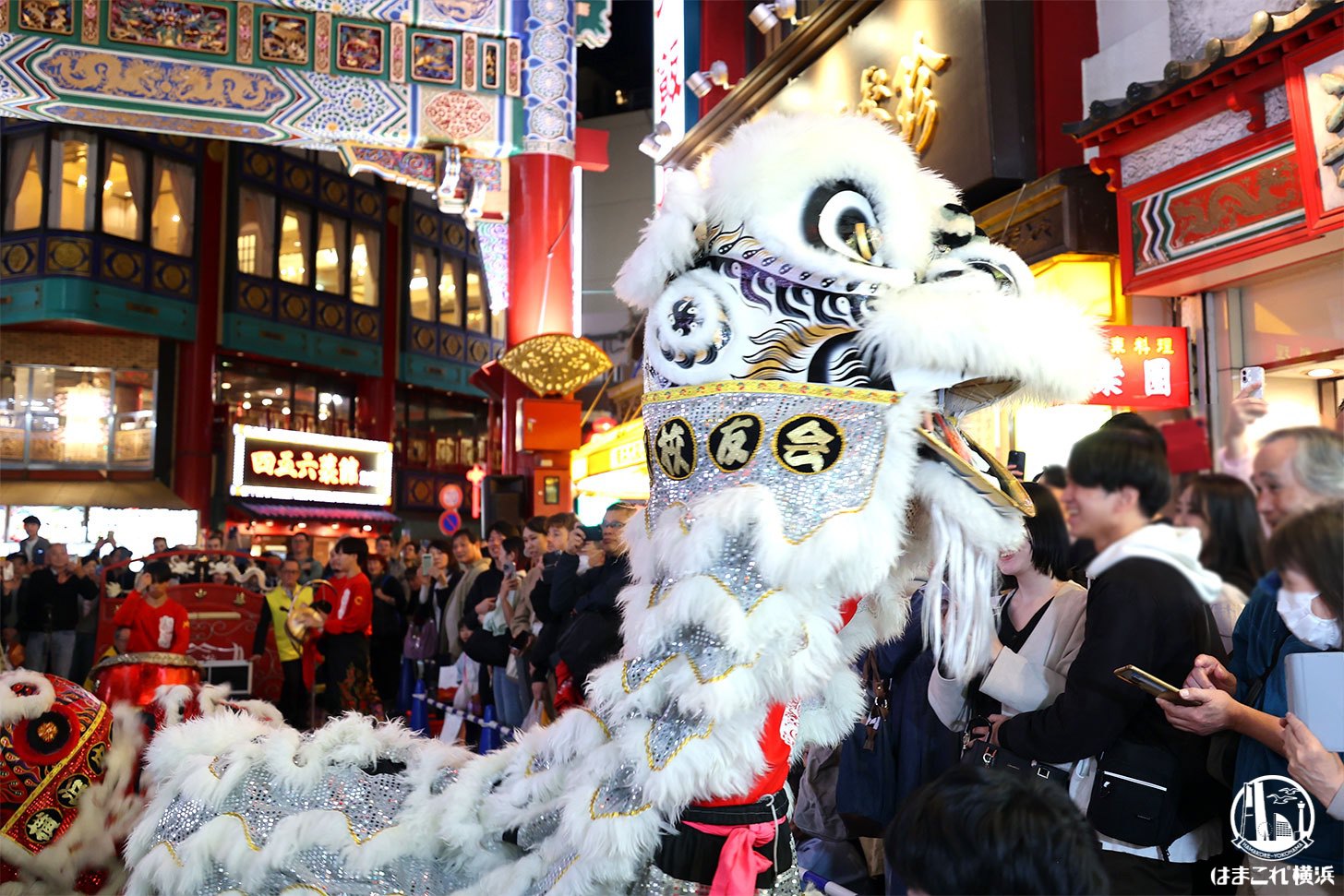 2026春節燈花（イルミネーション）