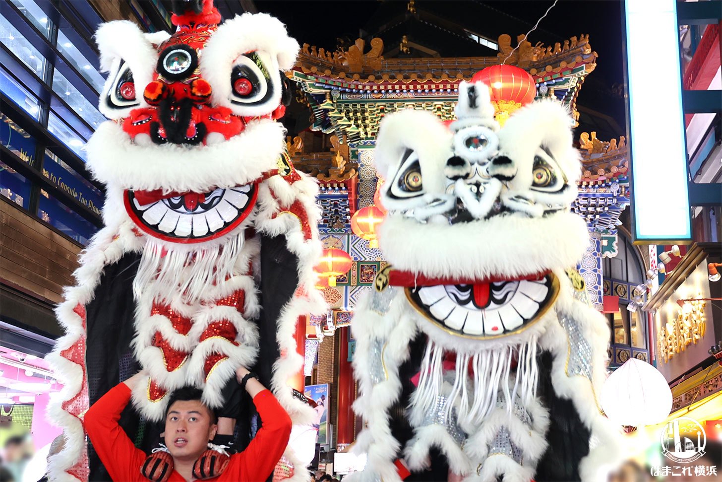 2026春節燈花（イルミネーション）