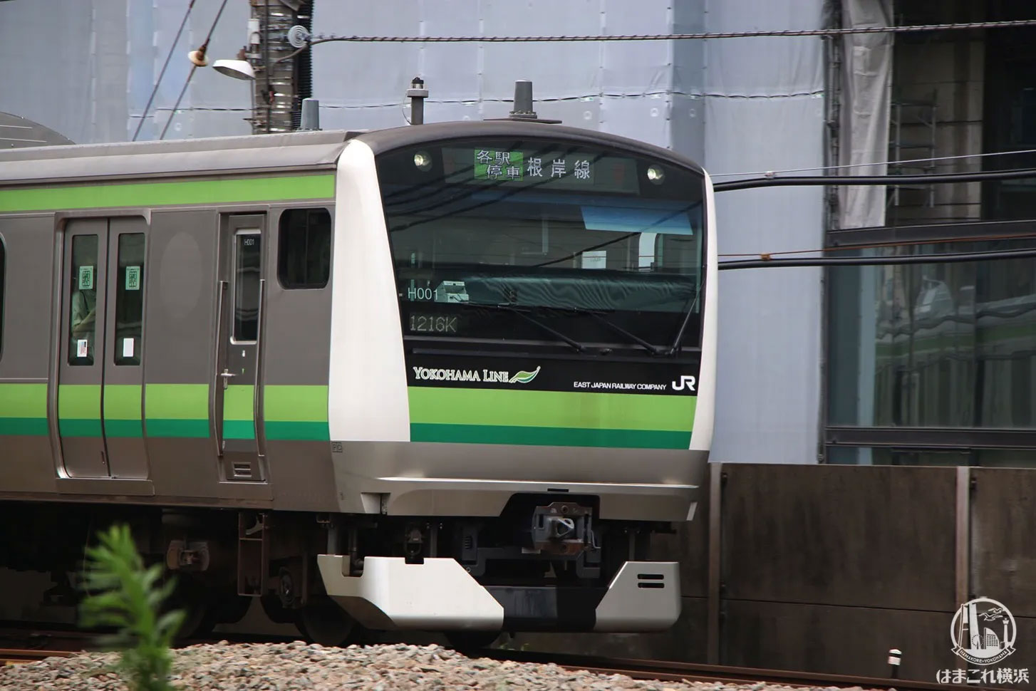 東横線跡地から見た横浜線