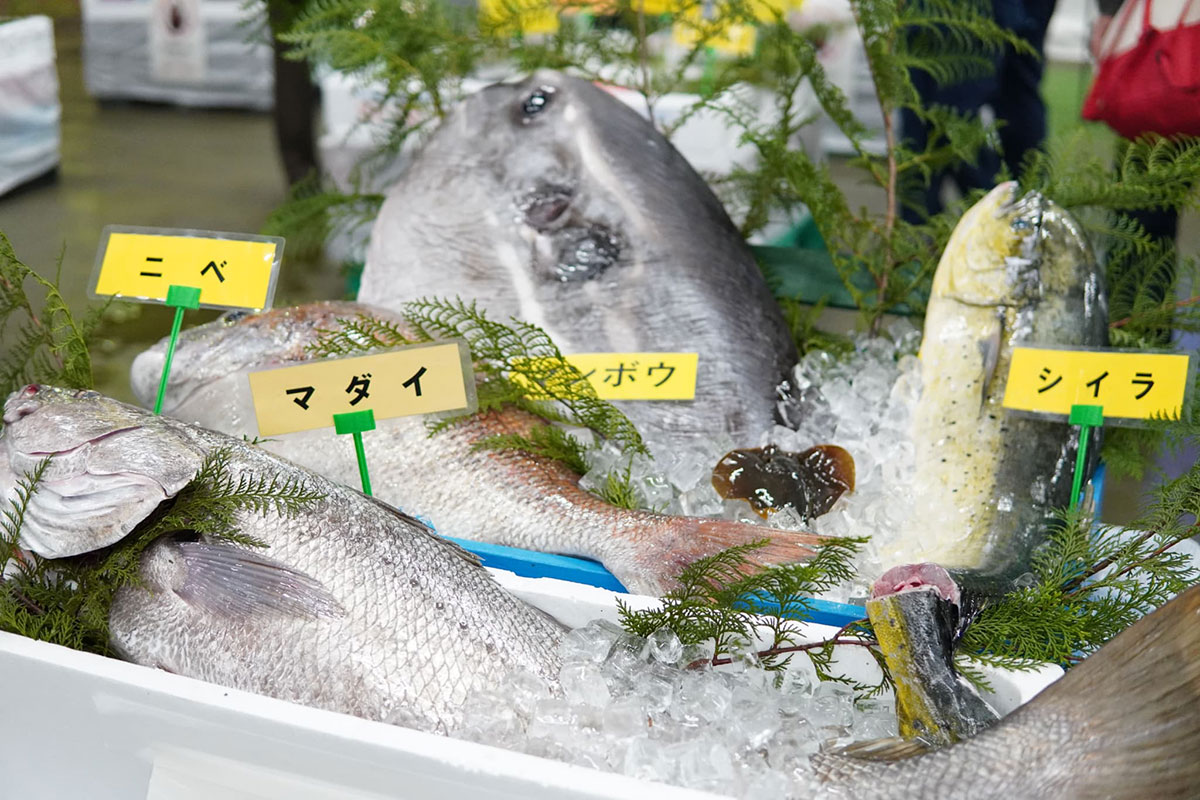 横浜市中央卸売市場本場「横浜市場まつり」今週末開催!市場グルメや野菜・果物、体験ブースも