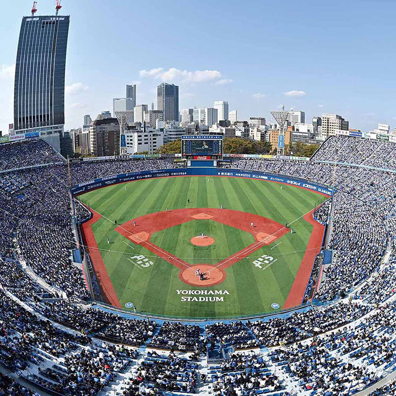 横浜DeNAベイスターズ 夢の福袋