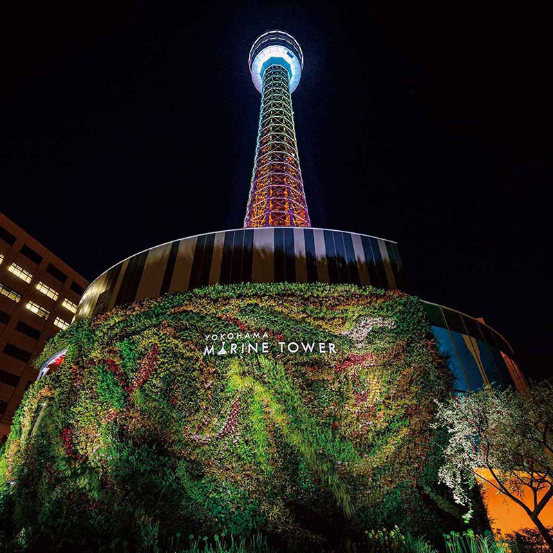 横浜マリンタワーライトアップ推し活福袋