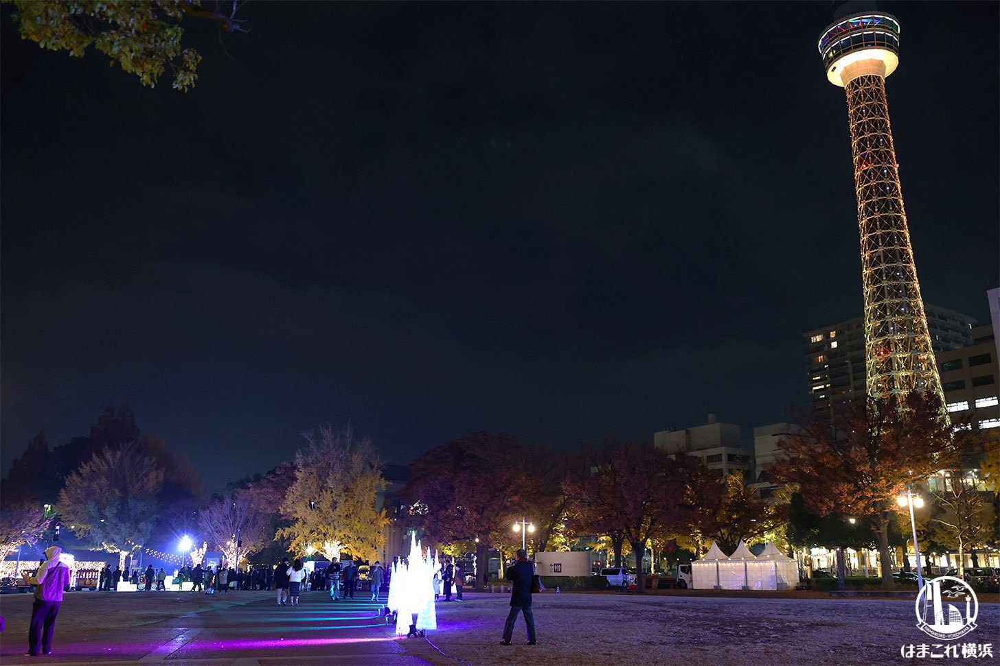 特設スケートリンク周辺のライトアップ