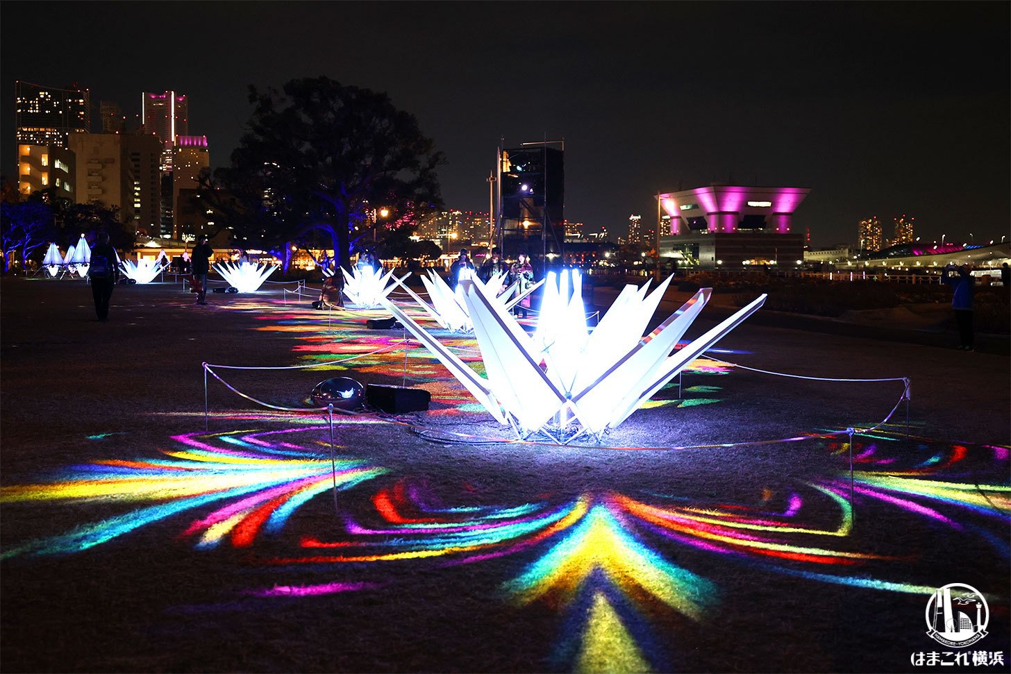 インタラクティブ・デジタルアート