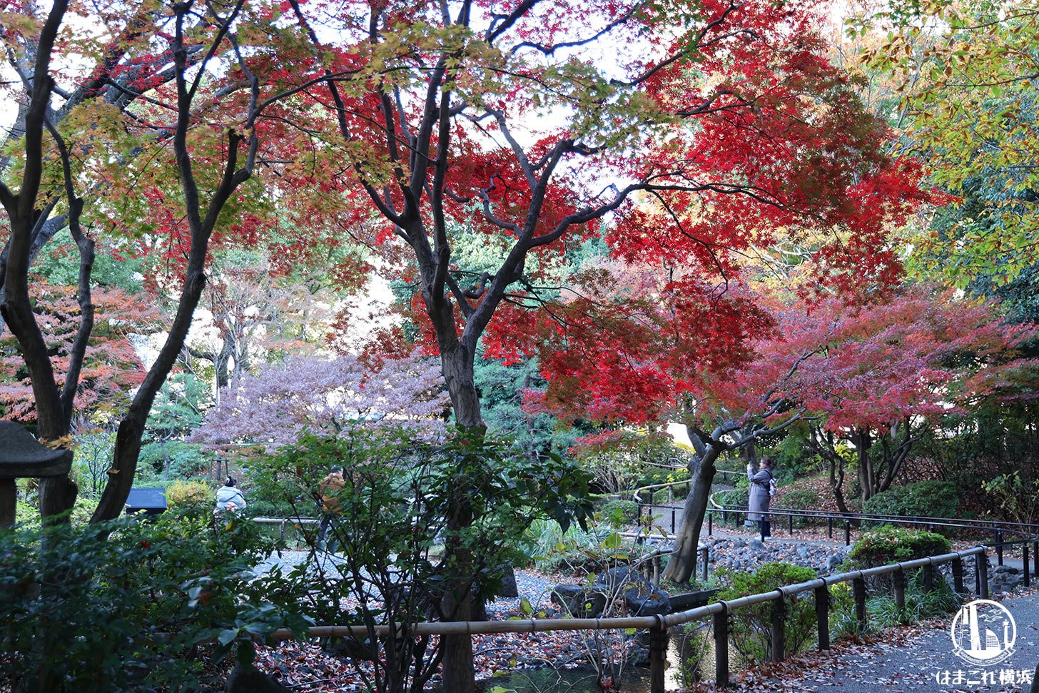 日本庭園の紅葉