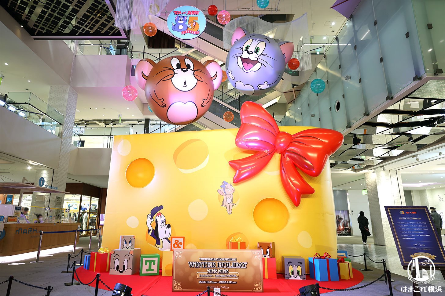 巨大チーズのプレゼント