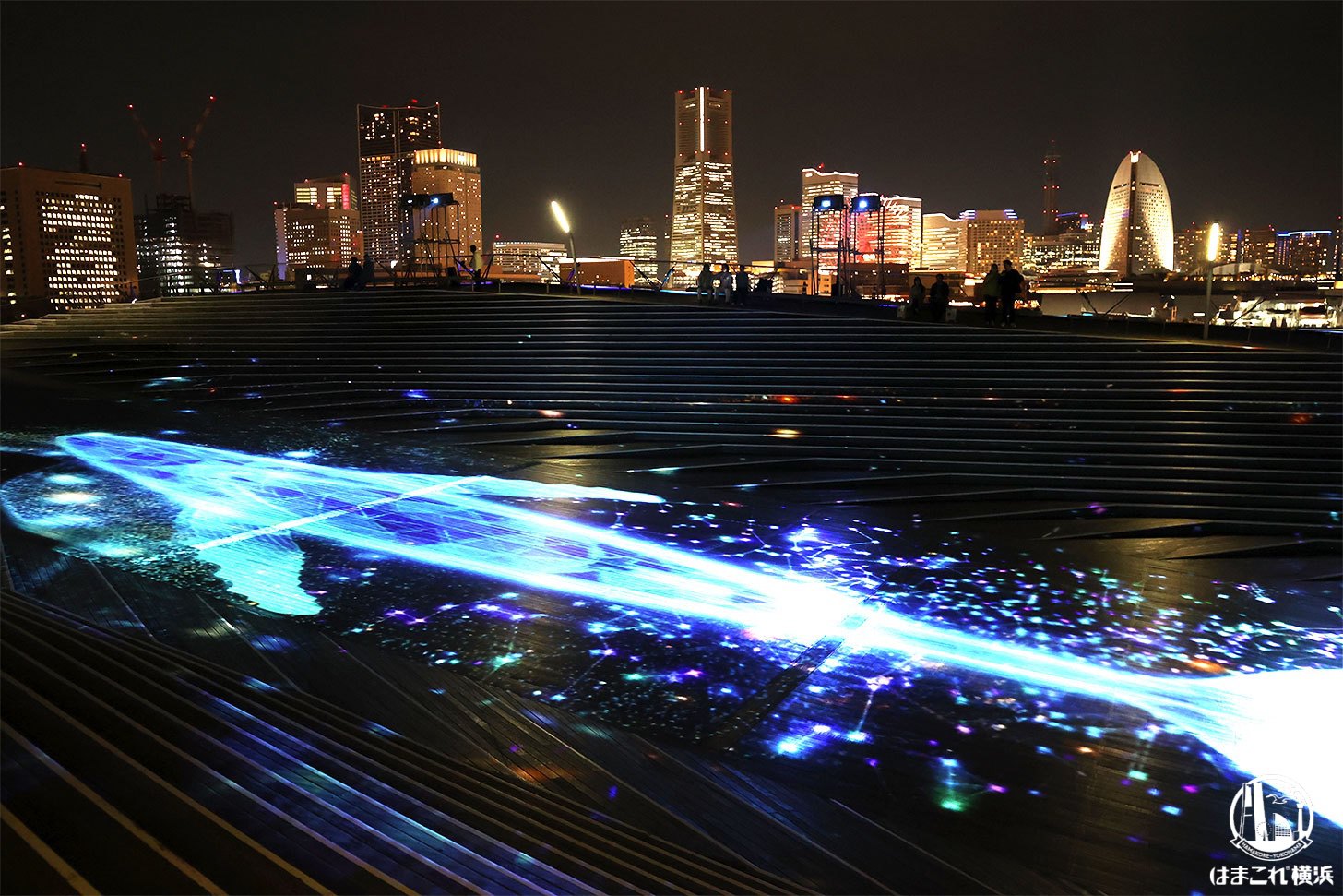 大さん橋の屋上広場「くじらのせなか」プロジェクションマッピング くじら登場