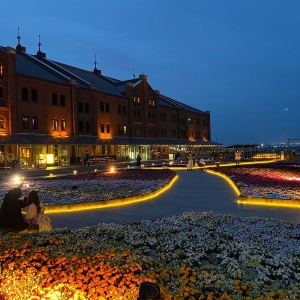 横浜赤レンガ倉庫「フラワーガーデン2026」約2万株咲く彩り豊かな花畑出現！夜には幻想的ライトアップも