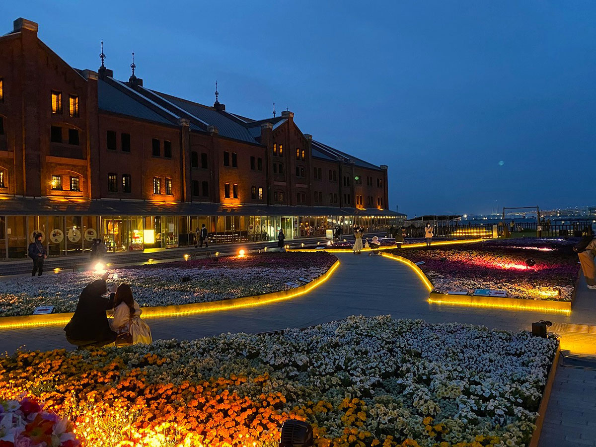 ライトアップイメージ