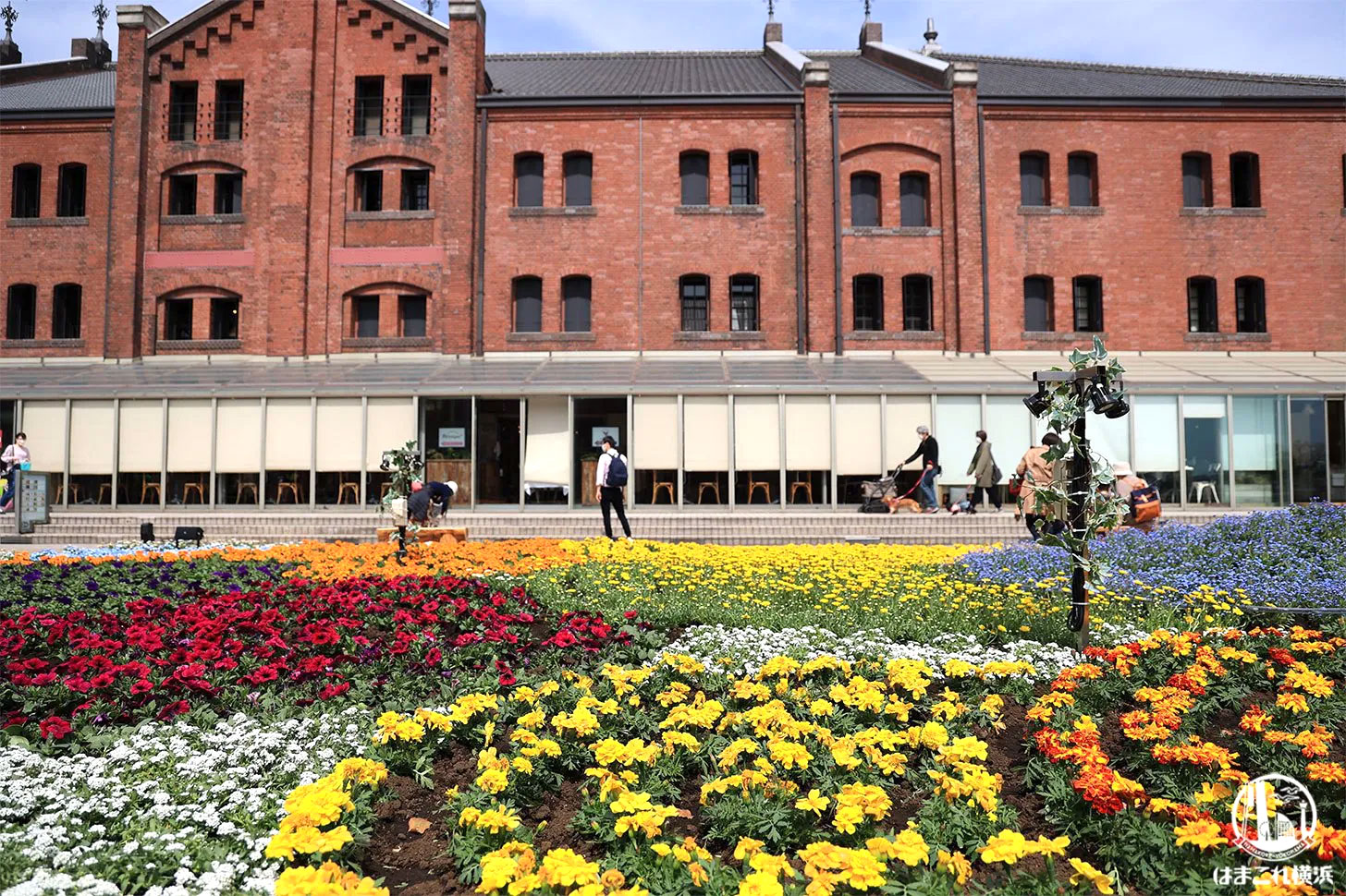 フラワーガーデン会場（過去開催時の様子）