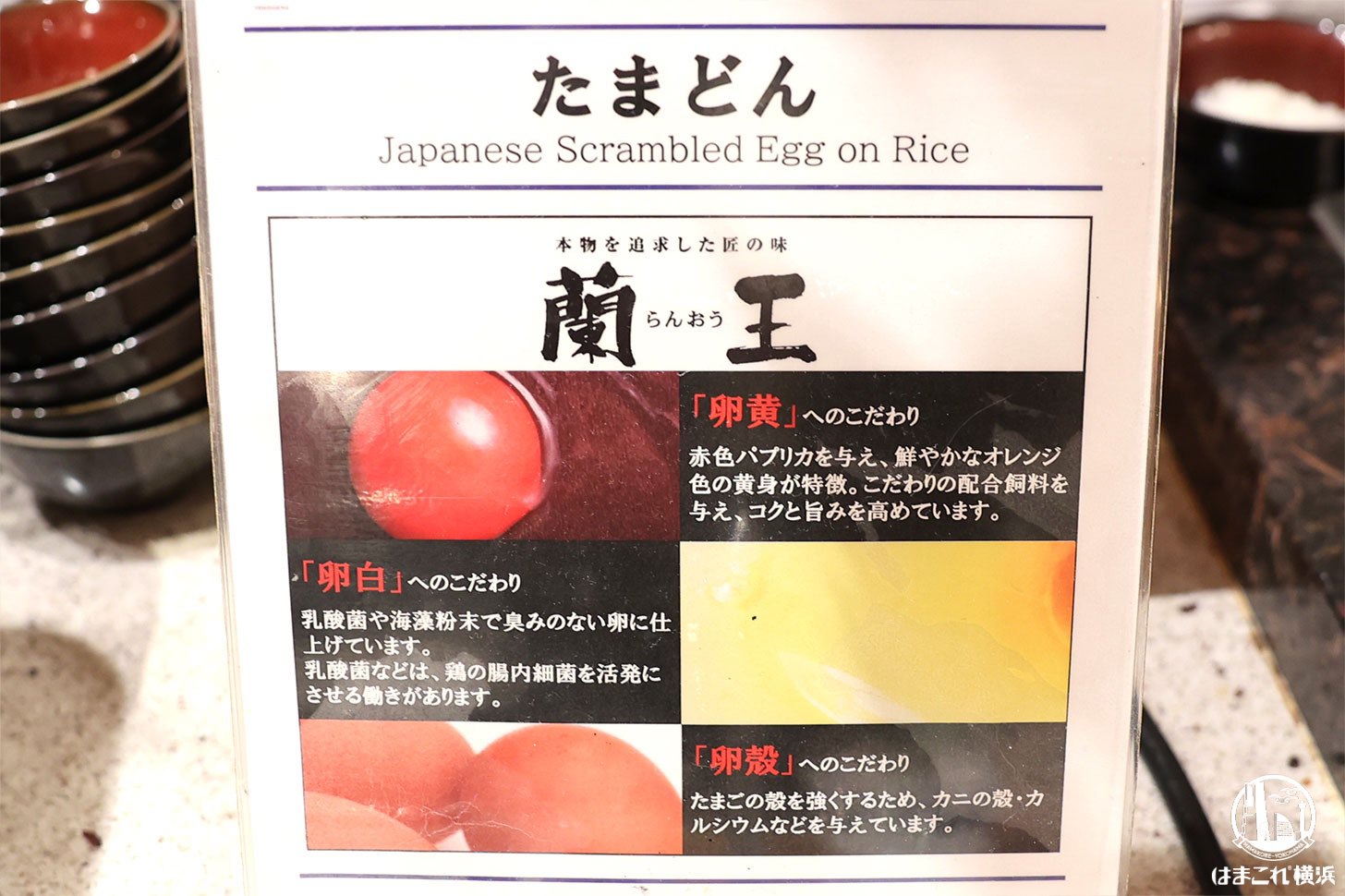 たまどんの案内