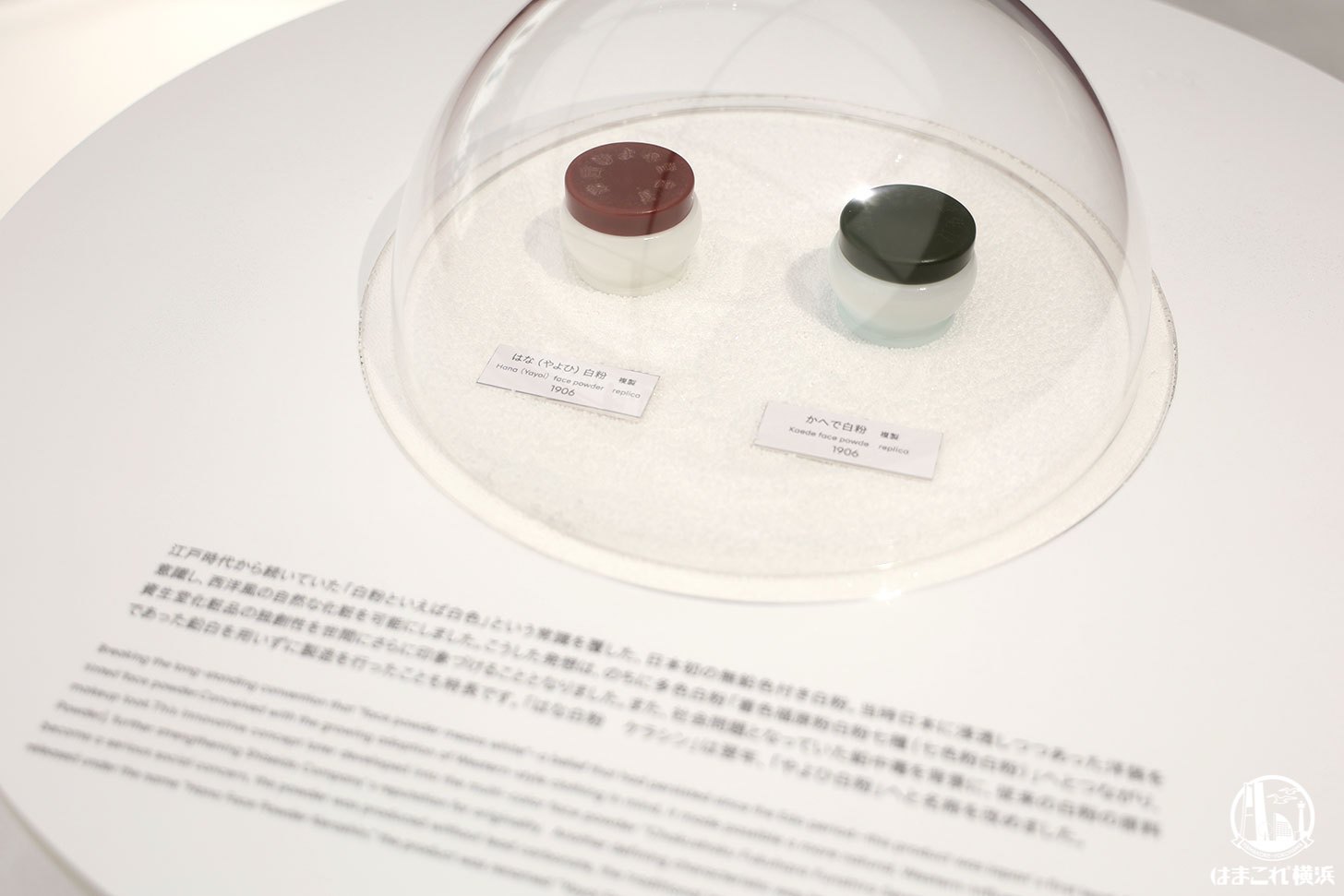 Shiseido Art ＆ Heritage Passage