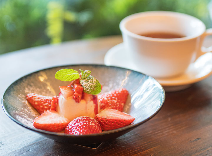 ほこたいちごのパンナコッタ