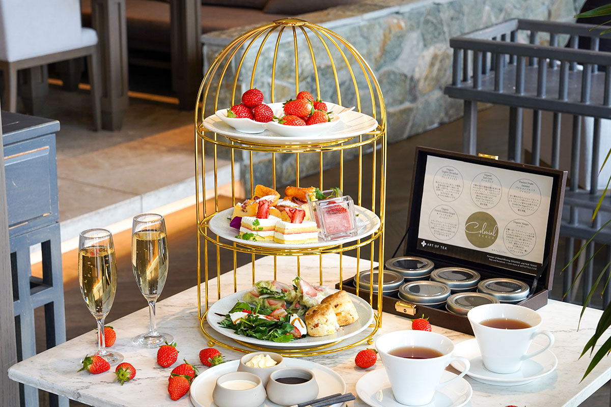 横浜ハンマーヘッド「コロニアルビーチ」3銘柄揃う苺のアフタヌーンティー登場！苺の食べ比べやスイーツなど