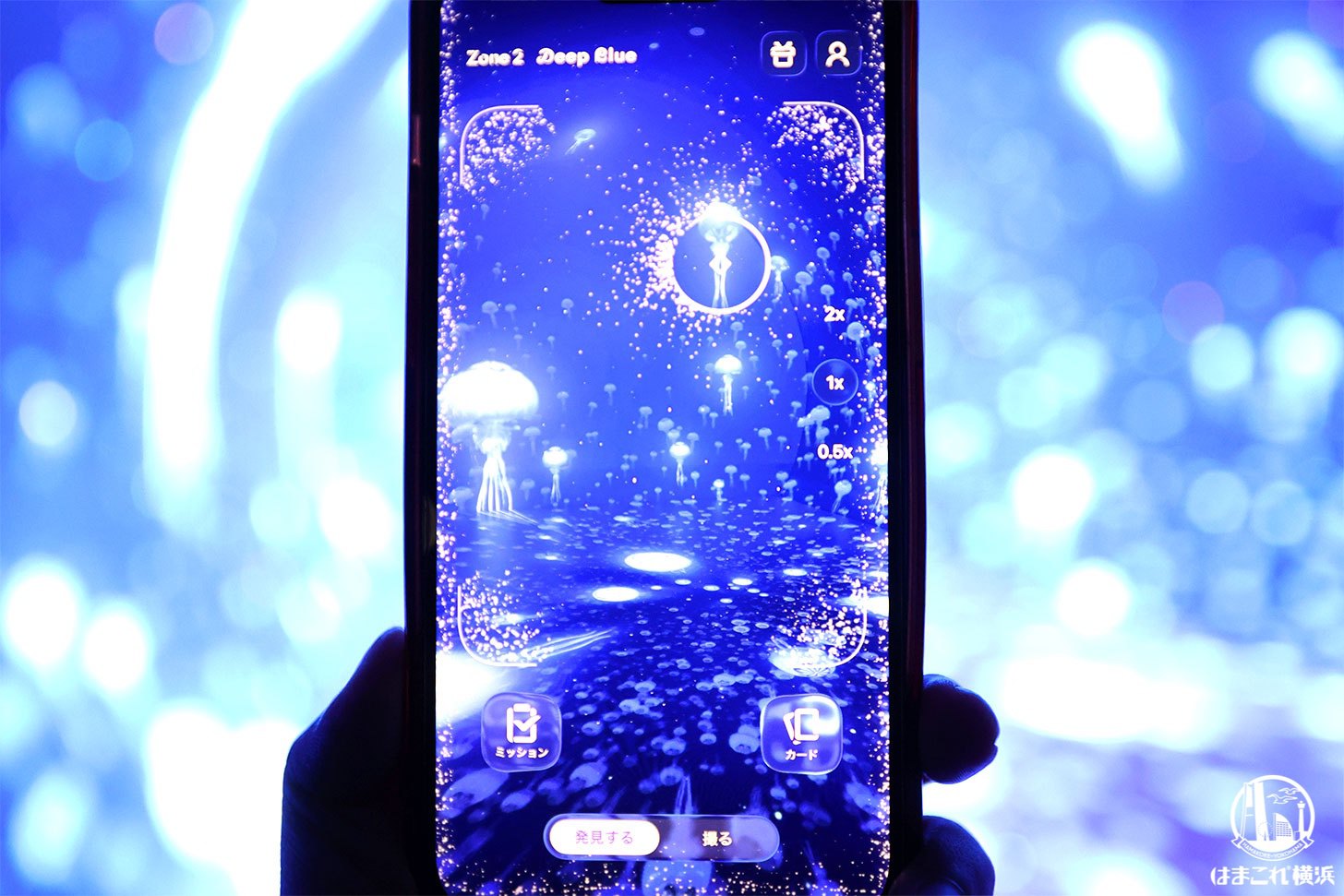 ダイブ・トゥ・ブルー スマホでの撮影画面