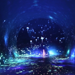 没入型体験施設「ワンダリア横浜」一部ゾーン先行お披露目!新たな見方で生き物との出会いを味わう映像演出