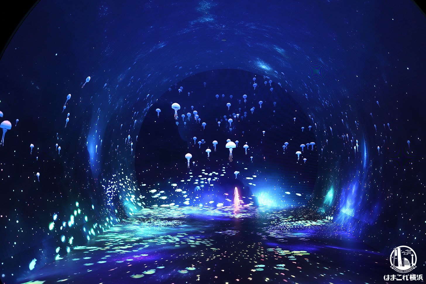 没入型体験施設「ワンダリア横浜」一部ゾーン先行お披露目！新たな見方で生き物との出会いを味わう映像演出