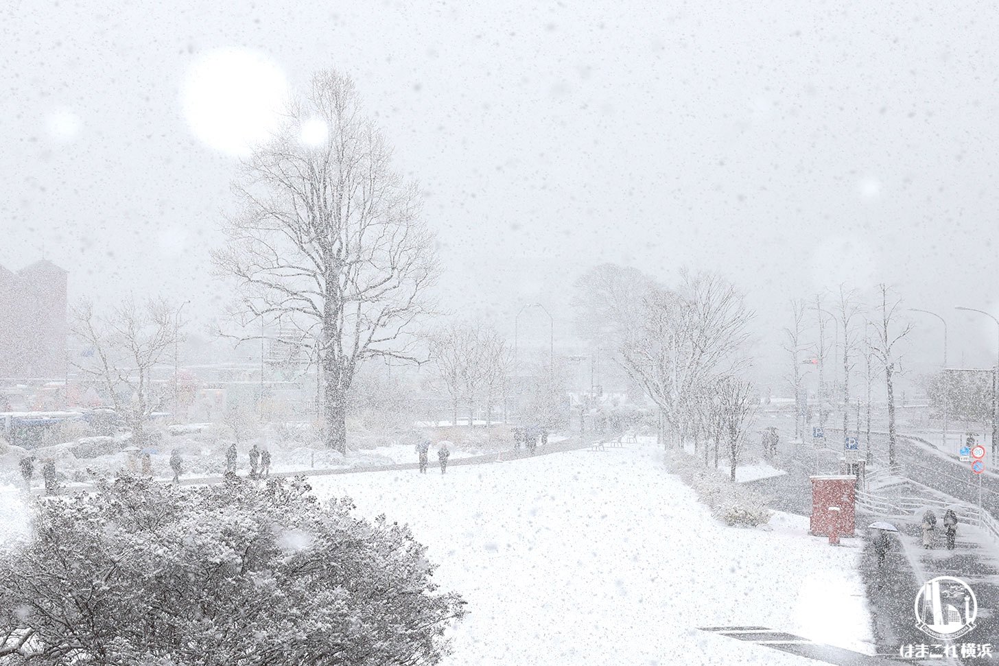 雪降る横浜みなとみらいをグルっと散策！雪化粧した非日常の街並みを愛でる週末