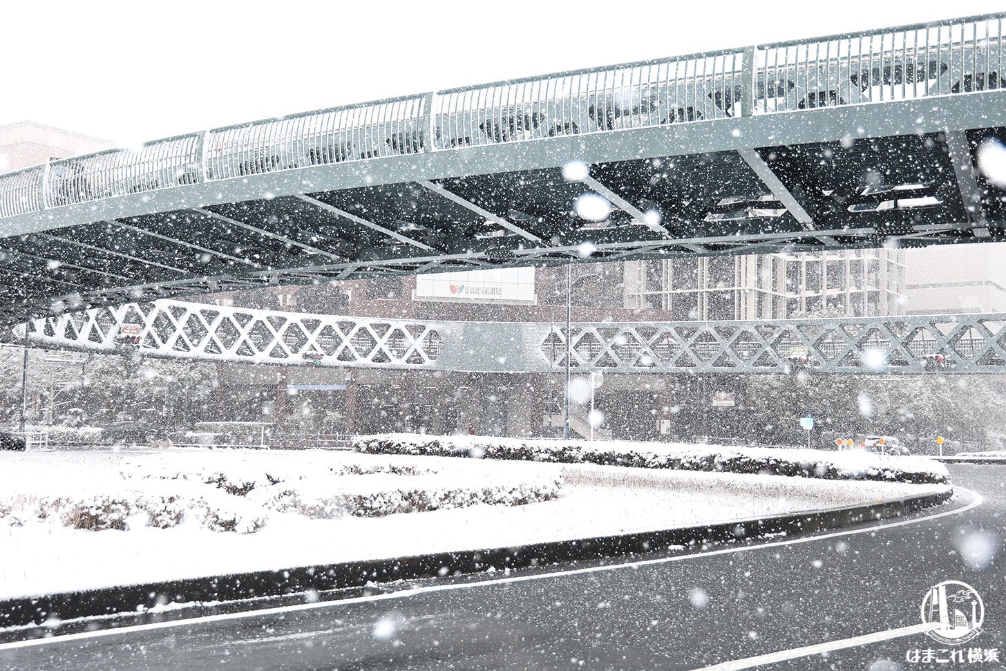 サークルウォーク