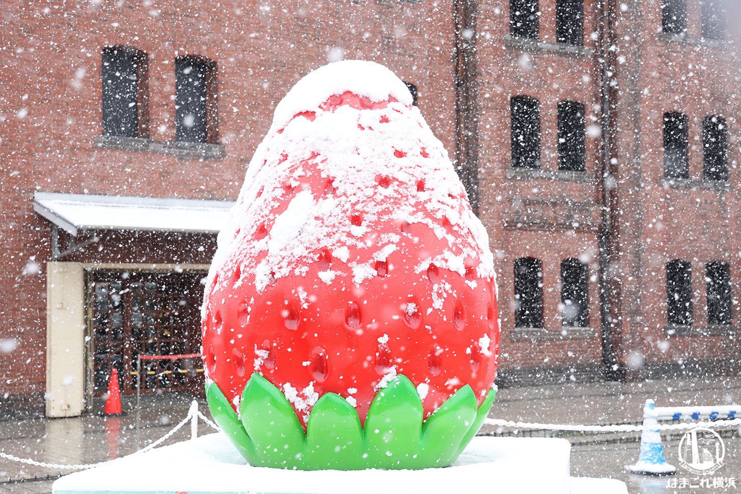 雪積もるストロベリー