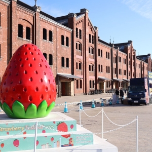 横浜赤レンガ倉庫「ヨコハマストロベリーフェスティバル2026」開幕！いちごに魅せられ味わう至福のひととき