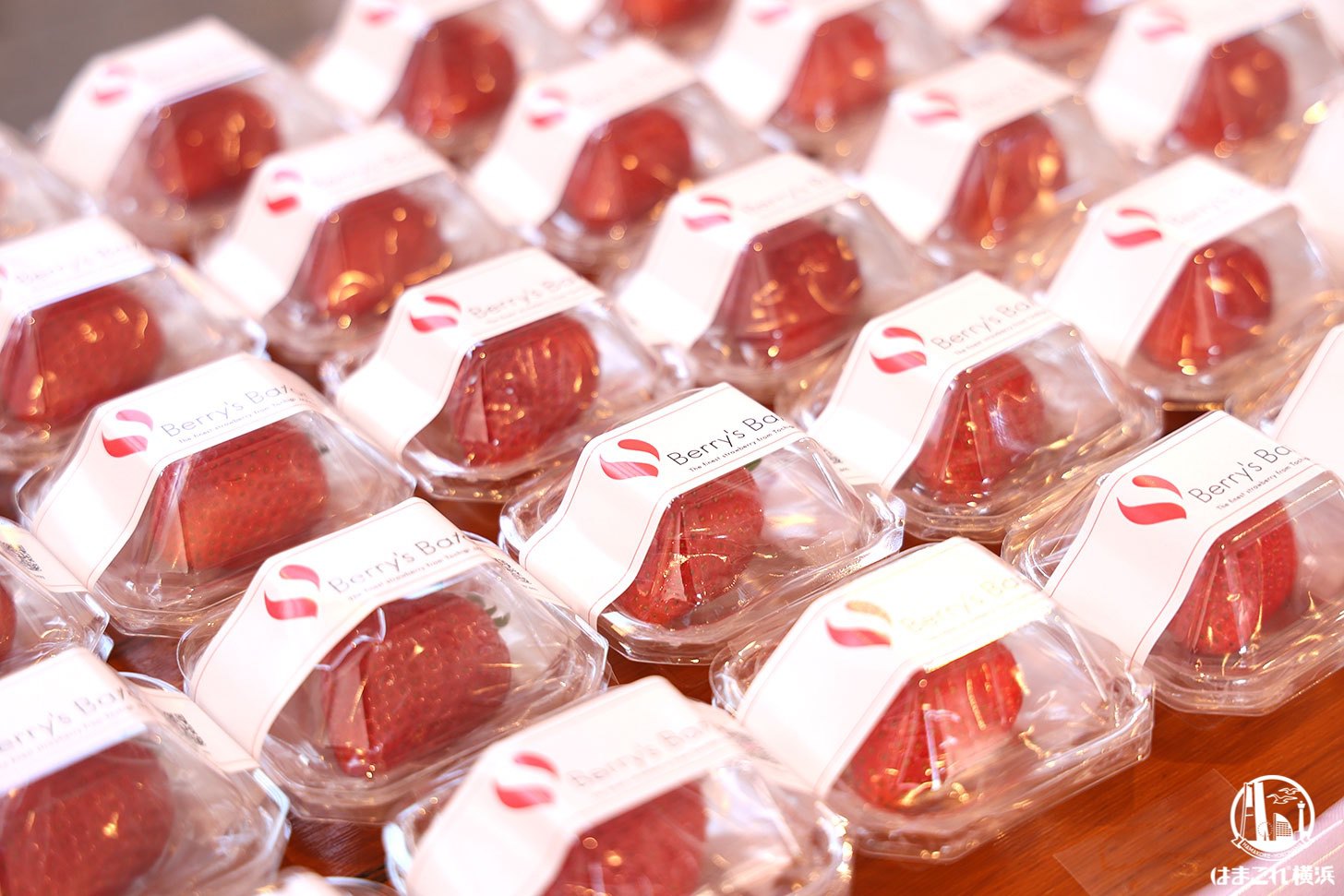 ブランドいちごの無料配布