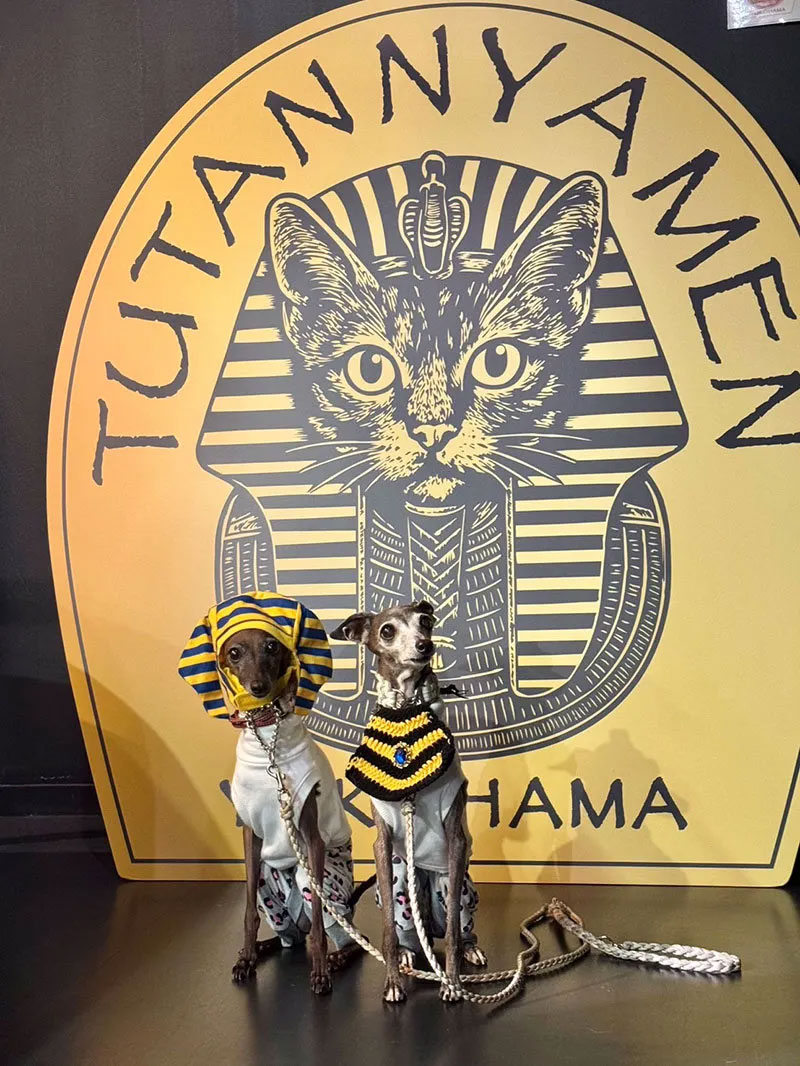 ペットとの記念撮影