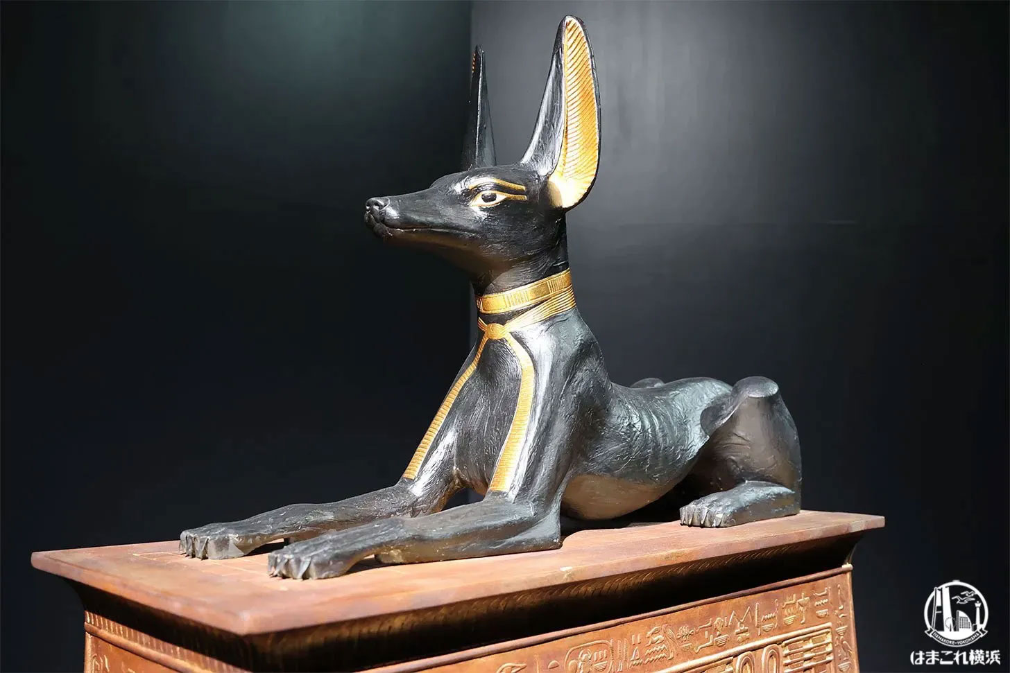 ミステリー・オブ・ツタンカーメン会場の様子（アヌビス神像付き厨子）