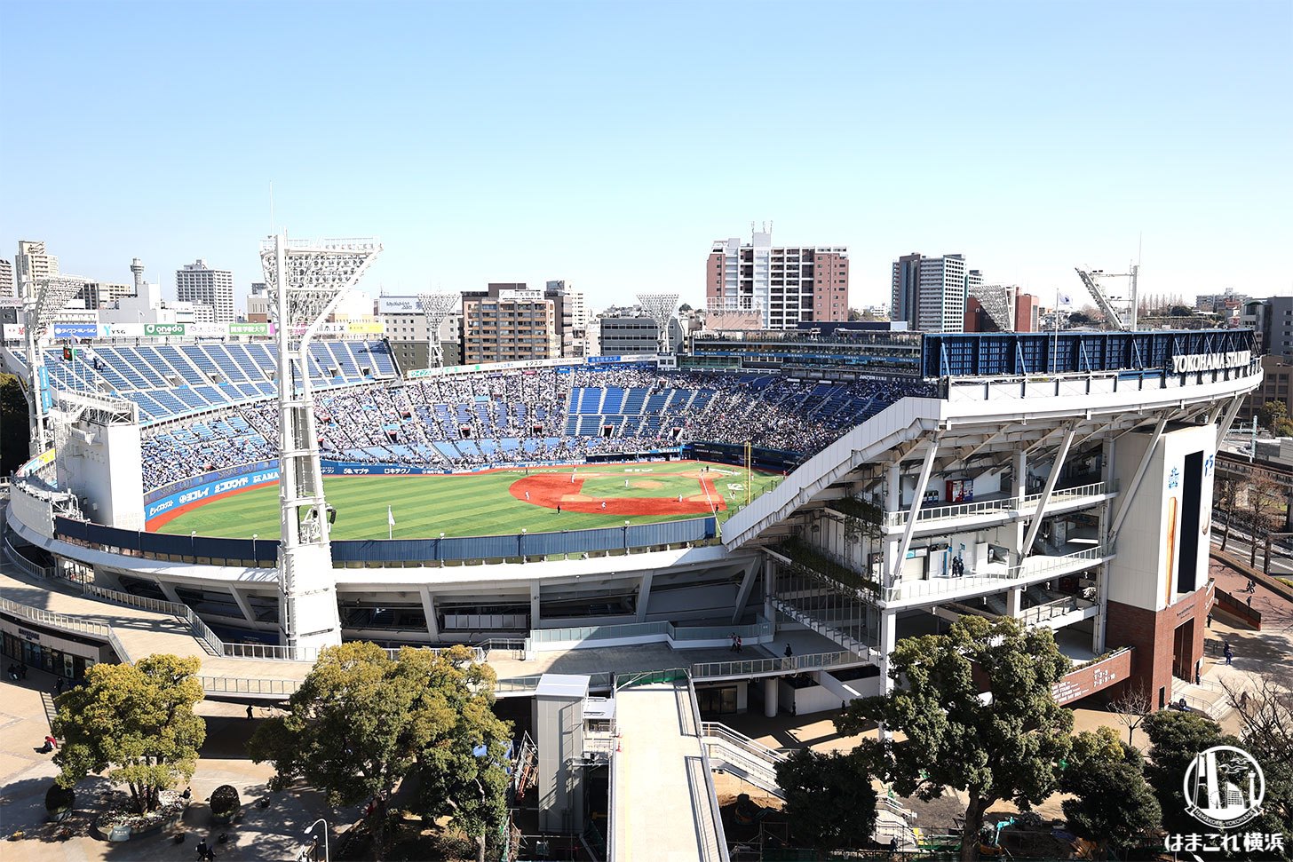 ハマカゼテラス