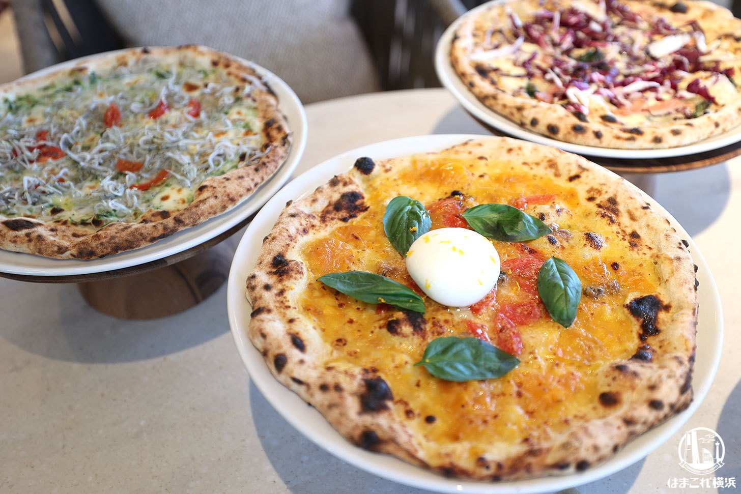 The TRATTORIA SALVATORE CAFE