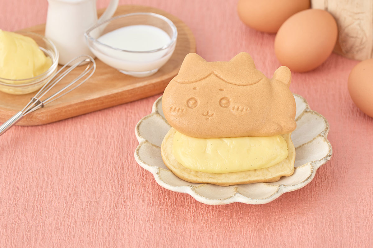 ハチワレ（クリーム）