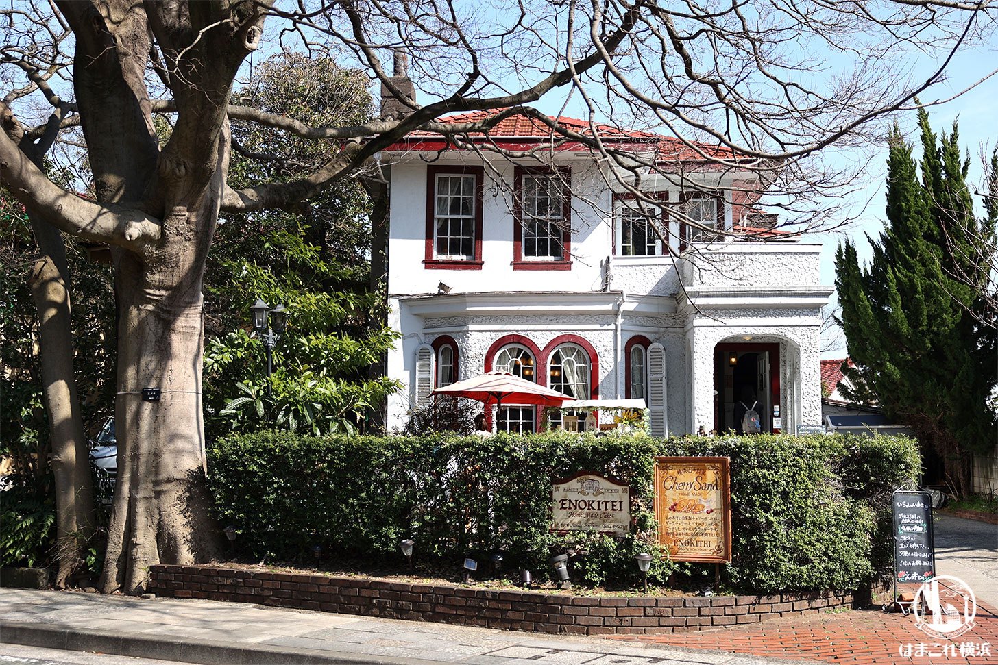 えの木てい 本店